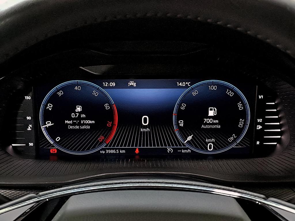 Skoda Scala 1.0 TSI 81KW (110 CV) Ambition 110 CV