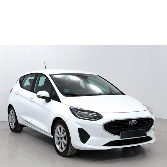 Ford - Fiesta 1.0 EcoBoost 74kW Trend 5p (100CV)  //  47.035 km