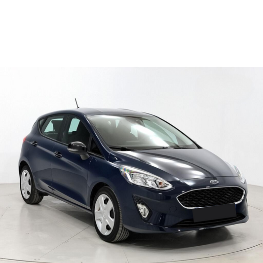 Ford Fiesta 1.0 EcoBoost 70kW (95CV) Trend S/S 5p  //  79.358 km